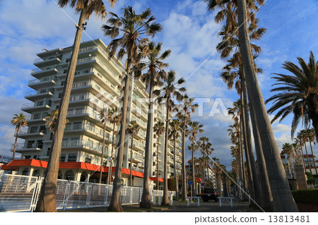 Zushi Marina 13813481