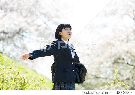 Cherry blossoms and school girls 13820780