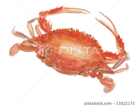 夾蟹 13822173