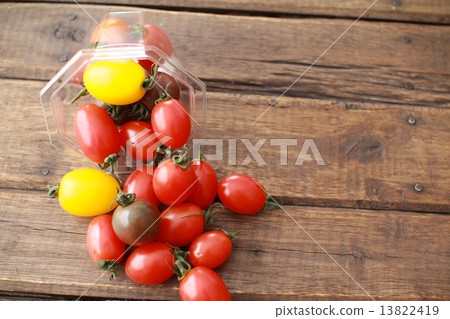 Various kinds of cherry tomatoes spilled out of a plastic cup Various kinds of cherry tomatoes spilled out of a plastic cup 13822419