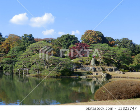 Japanese garden Japanese garden 13822747