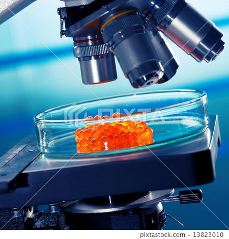 laboratory of food quality tests caviar 13823010