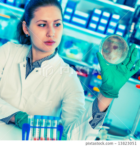 food quality control 13823051