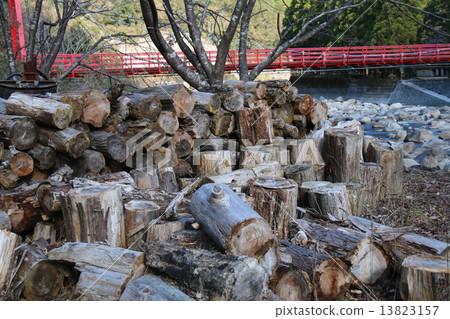 Firewood in winter preparation 13823157