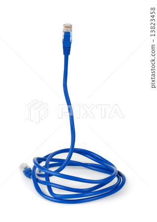 Computer cable like a snake - internet security concept 13823458