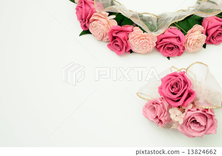 Roses Preserved Flower 13824662