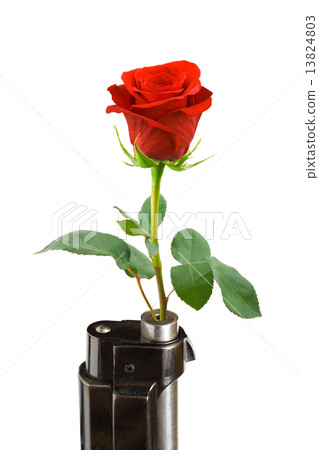 Flower and gun Flower and gun 13824803