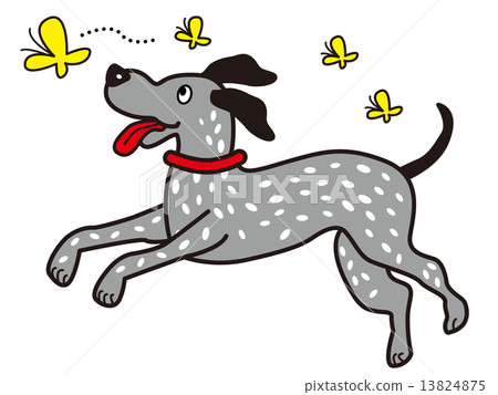 Dogs playing with butterflies Dalmatian 13824875