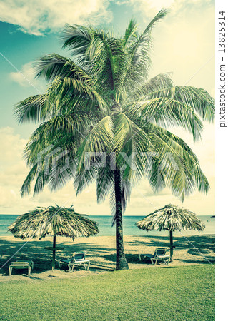 Tropical beach resort in the caribbean Tropical beach resort in the caribbean 13825314