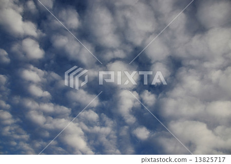 Sheep clouds 13825717