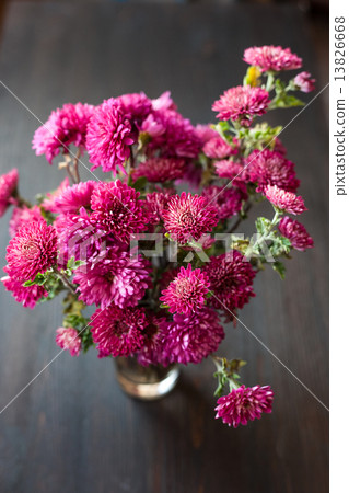Dahlia Autumn flower design 13826668