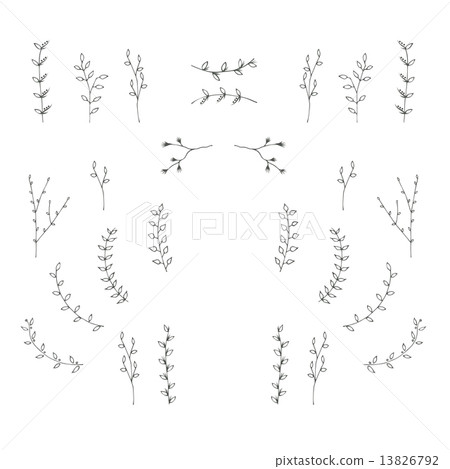 Hand-drawn branches graphic design elements set. - Stock Illustration ...