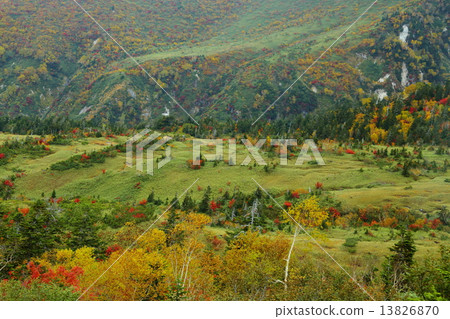 Midagahara秋葉 13826870