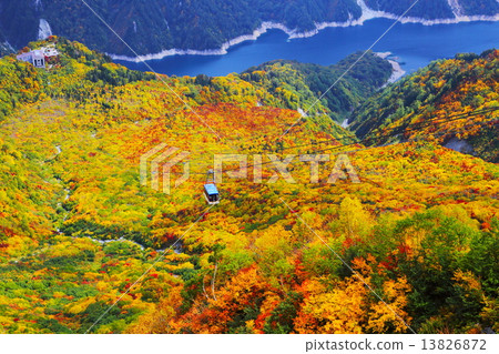 Autumn leaves from Tateyama Taikan Peak and Kurobe Lake 13826872