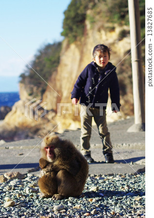 Monkey and human child 13827685