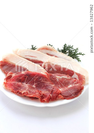 Shiso meat 13827962