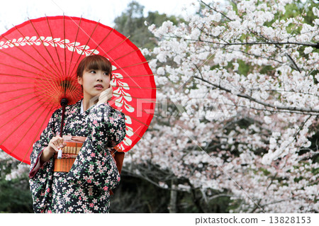 櫻桃樹春天和服 13828153