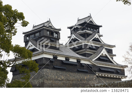 熊本城堡城堡塔和小假小子 13828471
