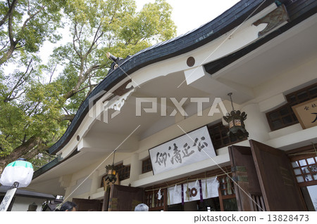 加藤神社的大廳 加藤神社的大廳 13828473
