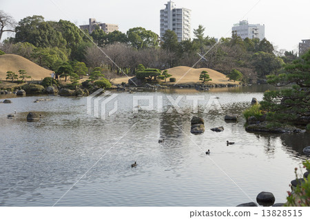 Suizenji公園的池塘 13828515