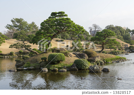Suizenji公園的池塘 13828517