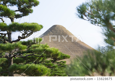 Fuji and pine in Suizenji Park 13828675