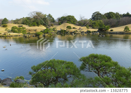 Suizenji公園的春天池 13828775