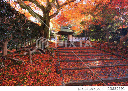 Higashiyama Anstor寺廟在秋天 13829391