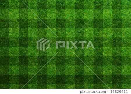 Green grass soccer field background 13829411