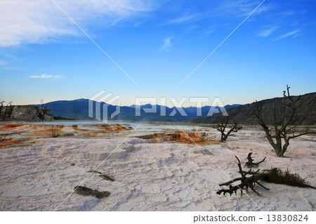 Upper travertine terrace of Mammoth Hot Springs 13830824