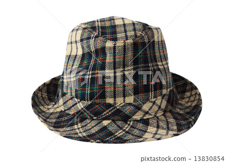 Checked Plaid Fedora Hat isolated 13830854