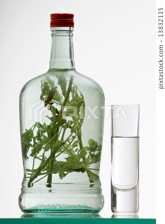 bottle and glass of herb rakia 13832115