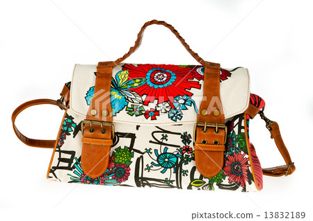 woman purse woman purse 13832189