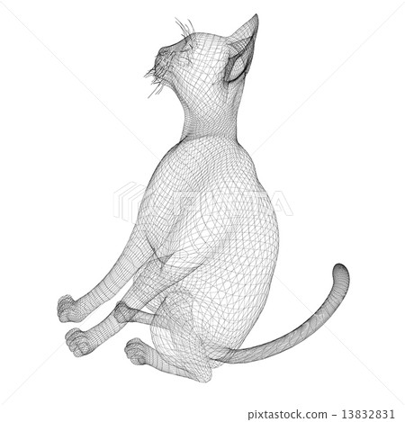 cat wire model - Stock Illustration [13832831] - PIXTA