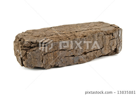 peat block 13835881