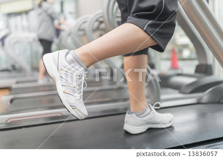 sports gym  13836057
