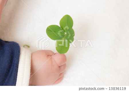 infant, keep, keeping 13836119