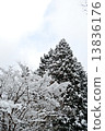 天空和雪景 13836176
