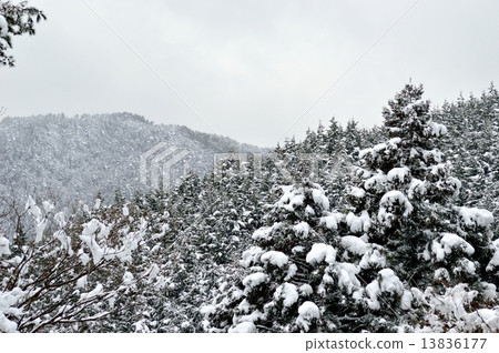 一座雪山 13836177