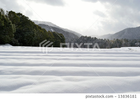 雪景 13836181
