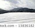 雪場 13836182