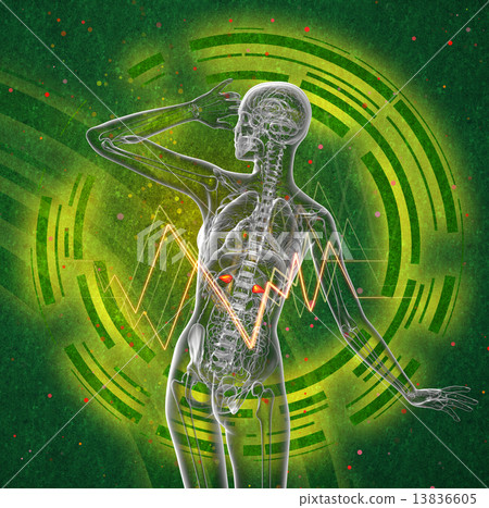 3d render medical illustration of the human adrenal glands 13836605