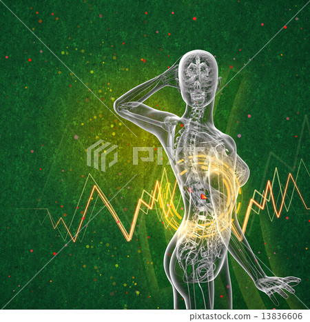 3d render medical illustration of the human adrenal glands 3d render medical illustration of the human adrenal glands 13836606