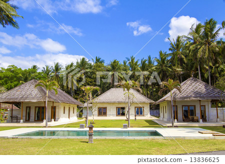 Tropical palms. 13836625