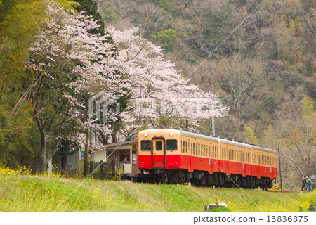 Kominato Railroad Harbor View Kominato Railroad Harbor View 13836875