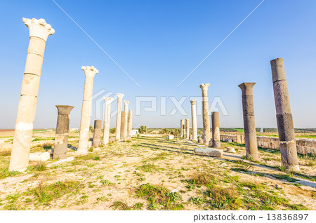 Ruins of Gueweve (Jordan, Irbid North) 13836897