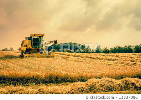 Harvester machine on a field Harvester machine on a field 13837086