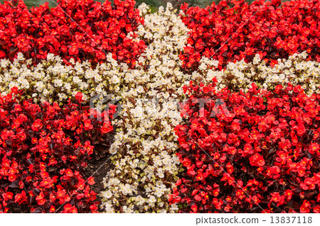 Denmark flag made out of flowers 13837118