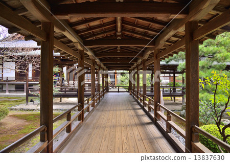 京都的秋天 13837630