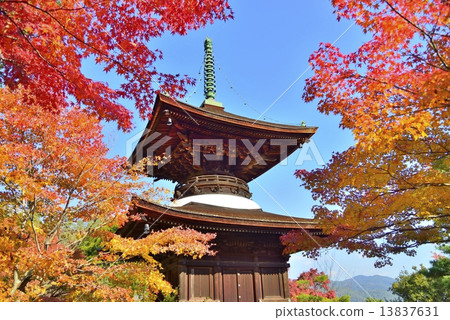京都的秋天 京都的秋天 13837631